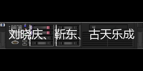 刘晓庆、靳东、古天乐成AI换脸受害者，揭示数字时代影像安全新挑战