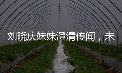 刘晓庆妹妹澄清传闻，未卷走姐姐的财产