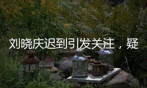 刘晓庆迟到引发关注，疑因家中被盗