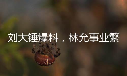 刘大锤爆料，林允事业繁忙，无暇顾及怀孕事宜