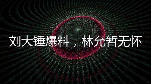 刘大锤爆料，林允暂无怀孕计划