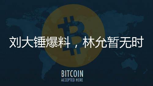 刘大锤爆料，林允暂无时间怀孕