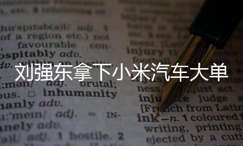 刘强东拿下小米汽车大单，引领电商巨头进军汽车产业新篇章
