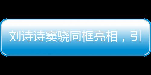 刘诗诗窦骁同框亮相，引发粉丝热议
