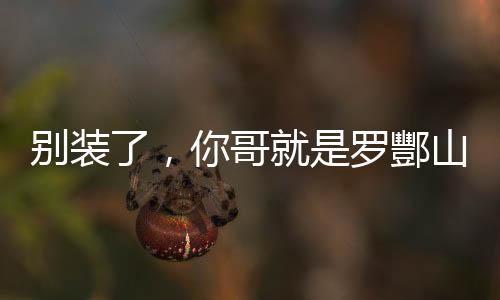 别装了，你哥就是罗酆山鬼王。