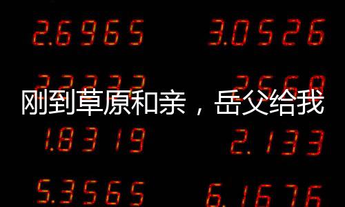 刚到草原和亲，岳父给我披上龙袍
