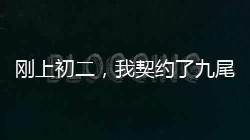 刚上初二，我契约了九尾妖狐