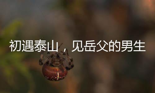 初遇泰山，见岳父的男生们开始坐立不安