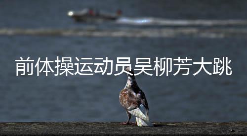 前体操运动员吴柳芳大跳性感热舞 账号被禁止关注