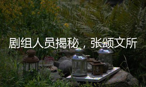 剧组人员揭秘，张颂文所扔之花竟是白花——探寻背后的故事