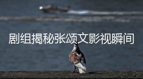 剧组揭秘张颂文影视瞬间，白花的消失背后的故事