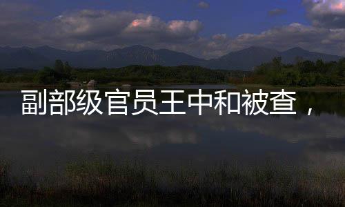 副部级官员王中和被查，反腐风暴再掀波澜