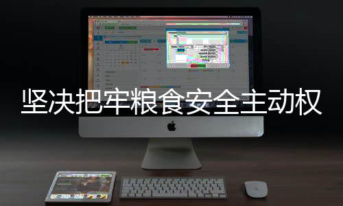 坚决把牢粮食安全主动权——保障国家粮食安全的战略行动