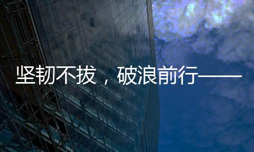坚韧不拔，破浪前行——记一位985女生五年十战六级终上岸的奋斗历程