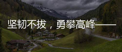 坚韧不拔，勇攀高峰——记一位985女生五年十战六级终上岸的奋斗历程