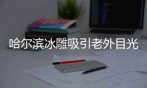 哈尔滨冰雕吸引老外目光，神秘艺术穿越异国界限