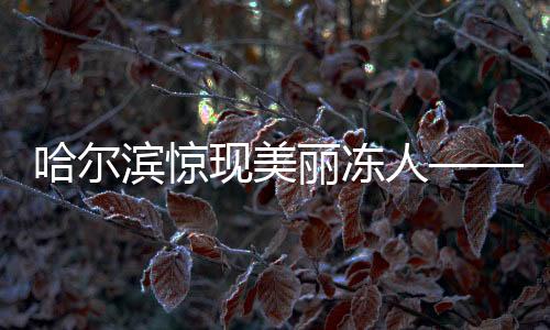 哈尔滨惊现美丽冻人——俄罗斯模特炫目街头