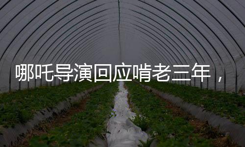 哪吒导演回应啃老三年，创作之路的坚持与挑战