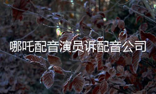 哪吒配音演员诉配音公司纷争揭秘