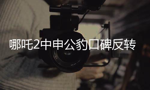 哪吒2中申公豹口碑反转，深度探究角色魅力