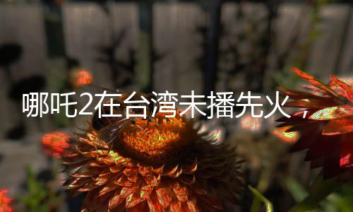 哪吒2在台湾未播先火，期待与热议交织的动画电影新篇章