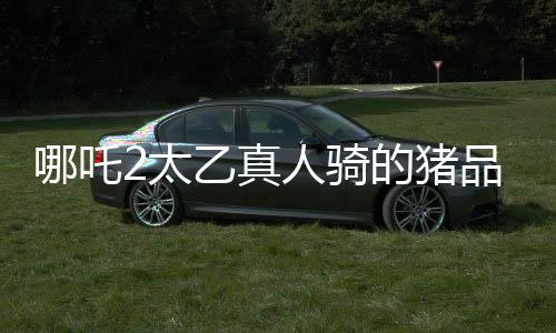 哪吒2太乙真人骑的猪品种揭秘，神秘生物引发影迷热议