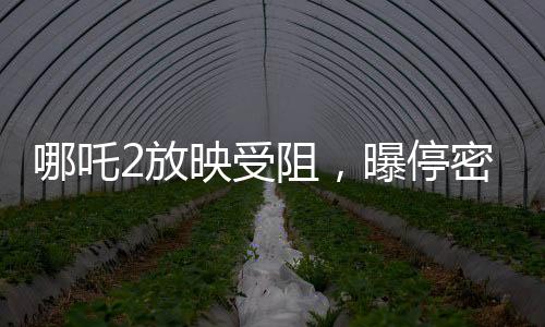 哪吒2放映受阻，曝停密钥导致影院恐慌——解密风波背后真相