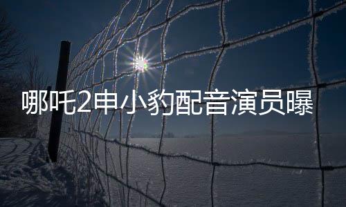 哪吒2申小豹配音演员曝光，新声亮相备受瞩目