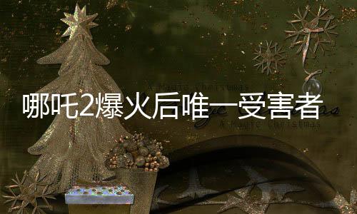 哪吒2爆火后唯一受害者出现，深度解析与多方反响