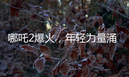 哪吒2爆火，年轻力量涌动，文化现象深度解读