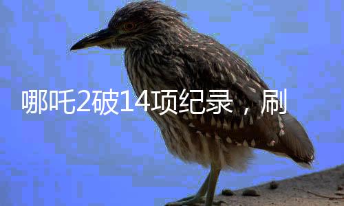 哪吒2破14项纪录，刷新国产动画新高度