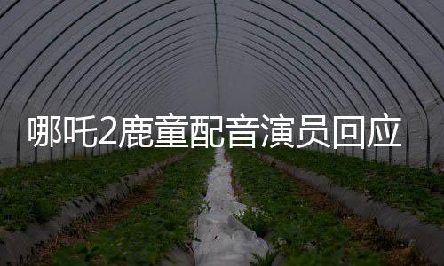 哪吒2鹿童配音演员回应被骂疯