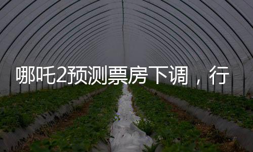 哪吒2预测票房下调，行业观察与市场分析