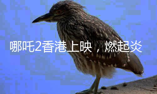 哪吒2香港上映，燃起炎炎夏日电影热潮
