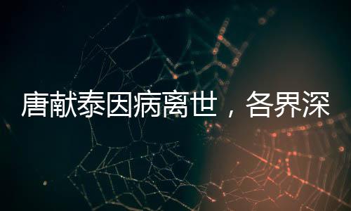 唐献泰因病离世，各界深切缅怀