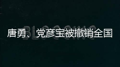 唐勇、党彦宝被撤销全国政协委员资格，事件背后的反思与启示