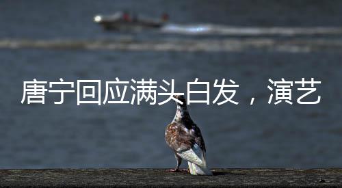 唐宁回应满头白发，演艺界的银发生魅现象探讨