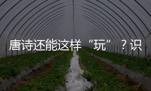 唐诗还能这样“玩”？识字教育也可“诗意满满”！