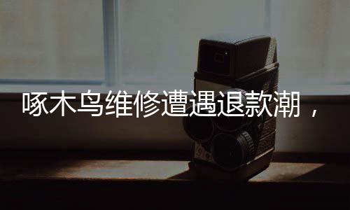 啄木鸟维修遭遇退款潮，透视服务质量与消费者权益保护问题