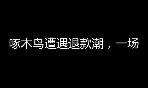 啄木鸟遭遇退款潮，一场意外危机引发的反思