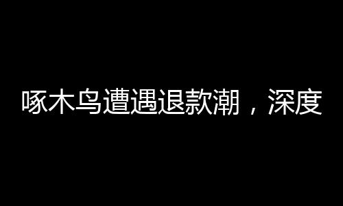 啄木鸟遭遇退款潮，深度探究背后的原因