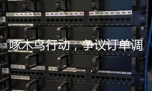 啄木鸟行动，争议订单调查与解决取得重大进展——已核实确认8655个争议订单分析报道
