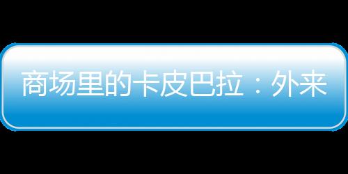 商场里的卡皮巴拉：外来野生动物成儿童新宠，暗藏风险