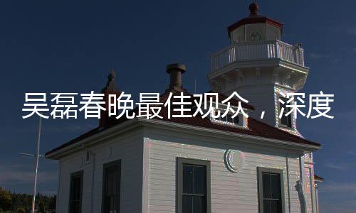 吴磊春晚最佳观众，深度解读与精彩瞬间回顾