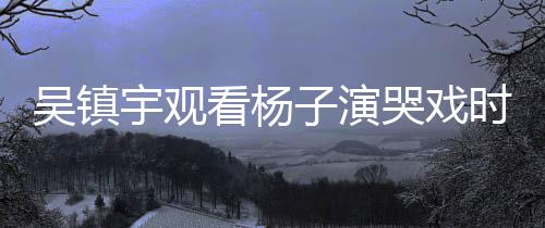 吴镇宇观看杨子演哭戏时表情失控，引发网友热议