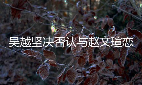 吴越坚决否认与赵文瑄恋情传闻