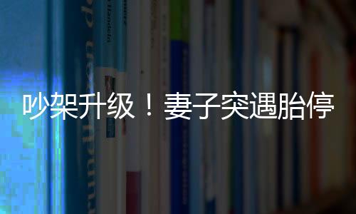 吵架升级！妻子突遇胎停丈夫痛心崩溃，家庭面临严峻考验