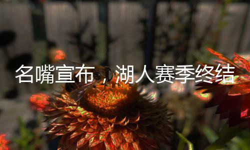 名嘴宣布，湖人赛季终结，未来之路仍充满挑战