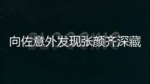 向佐意外发现张颜齐深藏不露，一次未识艺人身份的惊艳邂逅