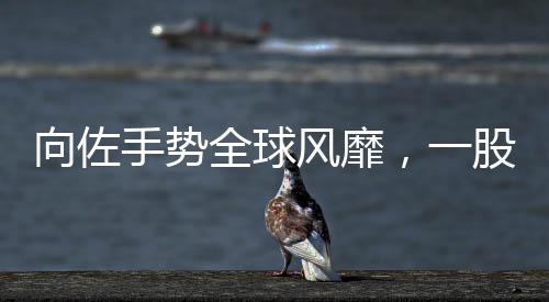 向佐手势全球风靡，一股新的文化潮流诞生